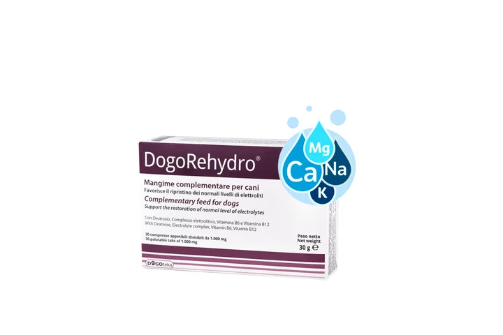 DogoRehydro