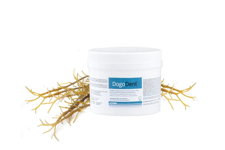 DogoDent pulver